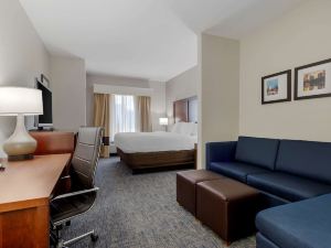 Comfort Suites Stockbridge Atlanta South