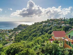 Tropical Paradise View