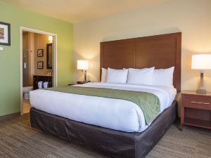 Comfort Inn Bentonville - Crystal Bridges