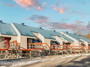 Le Cozy-Condo à louer à Stoneham