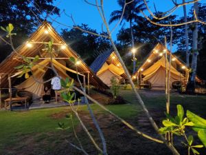 Trikora Beach Glamping