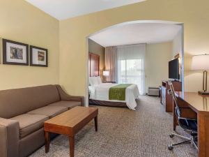 Holiday Inn Express & Suites Leesburg - Historic District