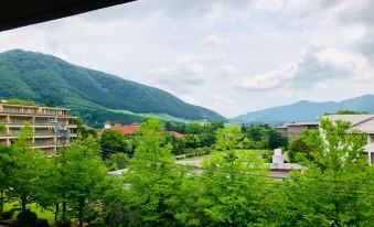 Mount View Hakone