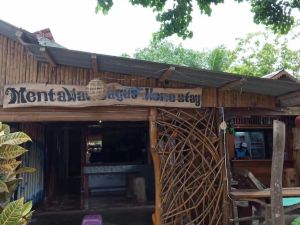 Mentawai Bagus - Hostel