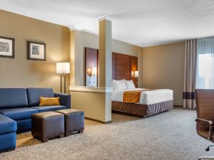 Comfort Inn & Suites Boise Airport