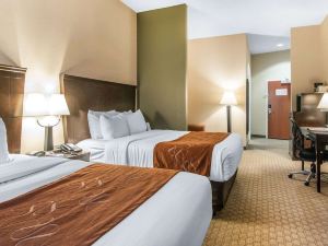 Comfort Suites Vestal near University