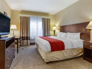 Comfort Inn & Suites North Tucson Marana