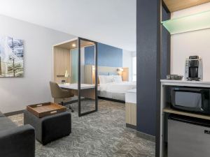 SpringHill Suites San Jose Fremont