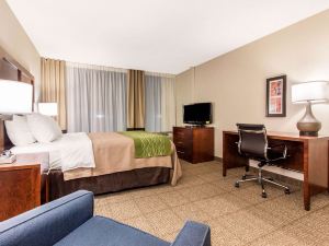 Comfort Inn & Suites Omaha Central