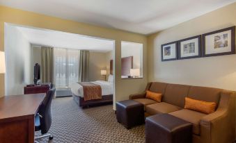 Comfort Inn & Suites SW Houston Sugarland