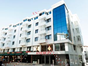 Anemon Usak Otel