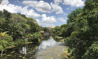 a serene landscape with a body of water surrounded by lush greenery and a white building in the background at Disney's Art of Animation Resort