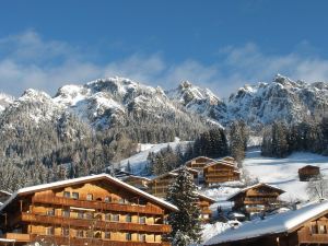 Alpbach Lodge Chalet Superior