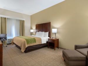 Comfort Inn & Suites Port Arthur-Port Neches