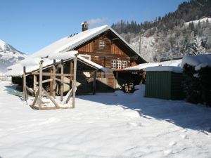 Chalet Bifigen