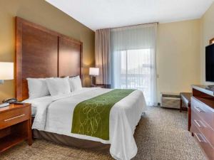 Holiday Inn Express & Suites Leesburg - Historic District