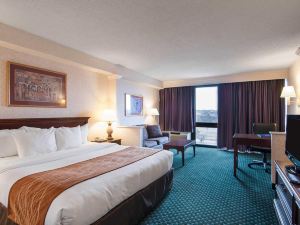 Comfort Inn & Suites Near Danville Mall