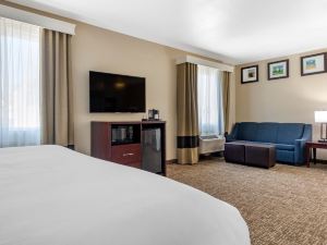 Comfort Suites Plano - Dallas North