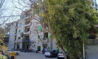 a modern apartment building with green windows , surrounded by trees and cars parked on the street at Parkway Apartments