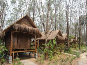 Rabbit Bungalow