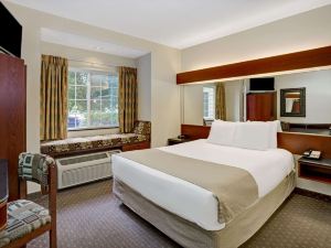 Microtel Inn & Suites by Wyndham Indianapolis Airport