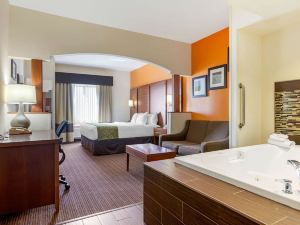 Comfort Suites Stevensville - St Joseph