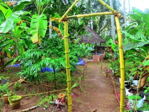 Bhaskar Villa Resorts Varkala