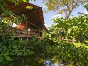 La Tigra Rainforest Lodge