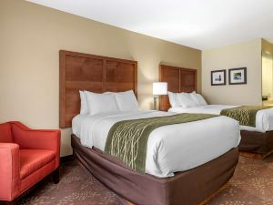 Comfort Inn Okemos - East Lansing