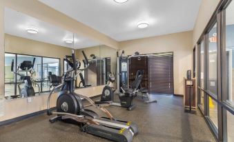 Best Western Plus McDonough Inn  Suites