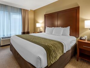 Comfort Inn & Suites Pittsburgh South