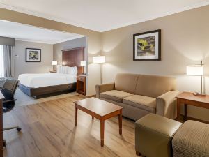 Best Western Plus Liverpool-Syracuse Inn  Suites