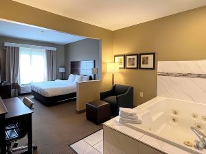 Comfort Suites North