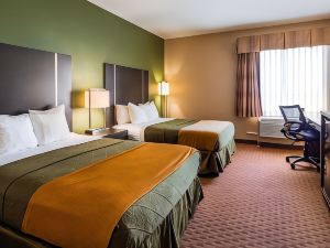 Best Western Plus North Houston Inn  Suites