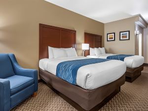 Comfort Inn Near Kokomo Speedway