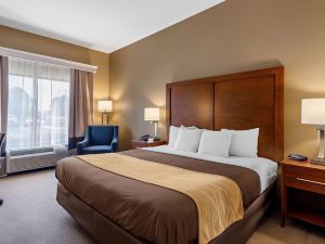 Comfort Inn & Suites Peachtree Corners