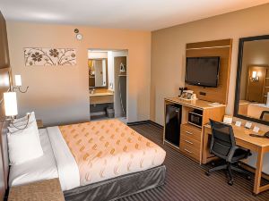 Quality Inn & Suites Near Six Flags - Austell