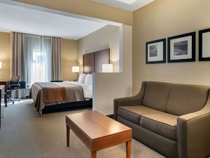 Comfort Inn & Suites Suwanee - Sugarloaf