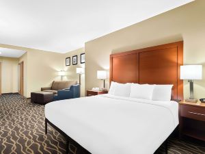 Comfort Suites Tampa Airport North