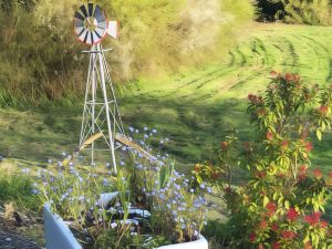 Lovely Shepherds Hut in Cornwall