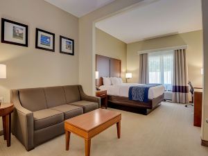 Comfort Inn & Suites Augusta Fort Eisenhower Area