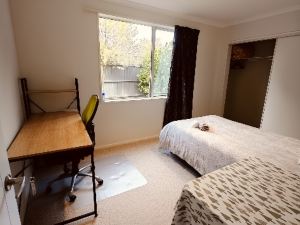 Urban Accommodation in Christchurch