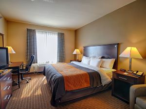 Comfort Inn & Suites Near Lake Lewisville