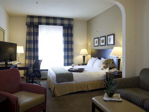 Holiday Inn Express & Suites Atlanta-Emory University Area