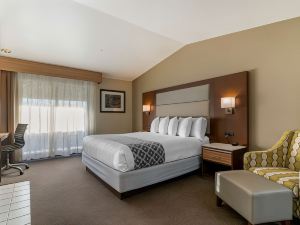 Best Western Plus Forest Park Inn