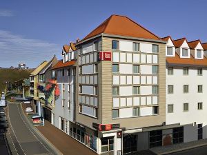 Ibis de Panne