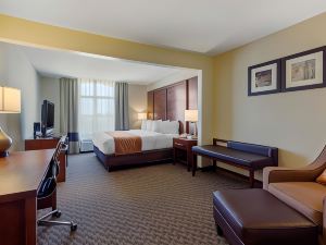 Comfort Inn & Suites SW Houston Sugarland