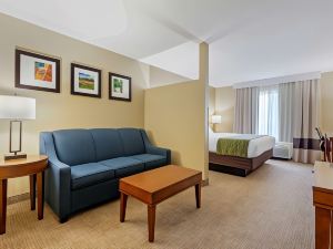 Comfort Inn Plover-Stevens Point