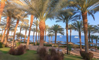 Grand Rotana Resort & Spa