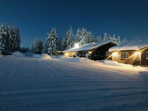 Sæteråsen Hytter & Camping Trysil